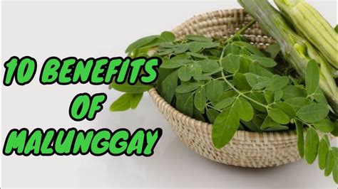 bunga ng malunggay health benefits tagalog|Malunggay .